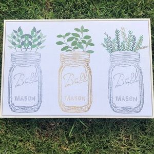 Beautiful new picture of plants 💚🌴